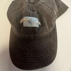 Keps Grijze pet, vervaagd logo, rapporterat av AFAS Live med iLost