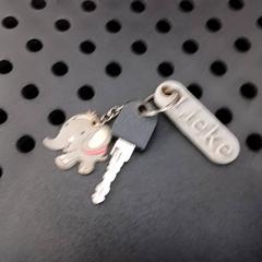 Schlüssel, gemeldet von Arriva Infoshop Enschede über iLost