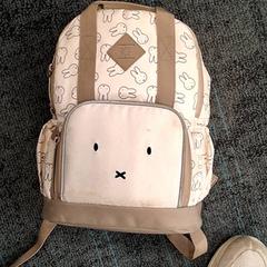 Motxilla, segons ha informat Breng Nijmegen mitjançant iLost