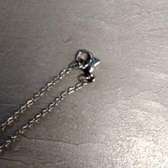 Náhrdelník, jak nahlášeno Arriva Friesland / Groningen pomocí iLost