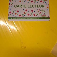 Carte mediatheques Multicolore, segundo informou IKEA Paris Nord Roissy usando iLost