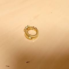 İLost kullanarak Mövenpick Hotel Amsterdam City Centre tarafından bildirildiği gibi Goudkleurig oorbelletje goukkleurige