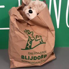 Tasje, ha sido reportado por Diergaarde Blijdorp con iLost