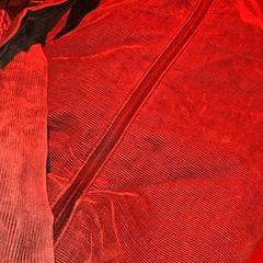 Táska Grey, amint azt Club Nyx/Exit Café az iLost segítségével jelentette.