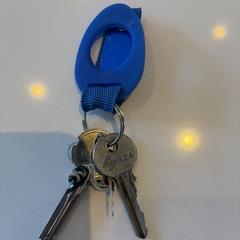 Sleutels, som rapporterats till iLost