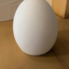 Nightlight, as reported by Familie Resort Molenwaard using iLost