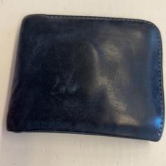 Carteira, como reportado por GVB utilizando o iLost