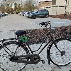 Damesfiets Gazelle grijsgroen, segundo informou Gemeente Zonhoven usando iLost