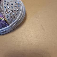 Joggesko, som rapportert av Avonturenboerderij Molenwaard ved bruk av iLost