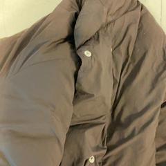 Jacke Bruin, gemeldet von Artis über iLost