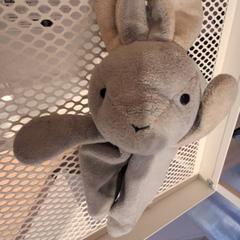 Giocattolo Doudou lapin gris, come riportato da IKEA Villiers-sur-Marne utilizzando iLost