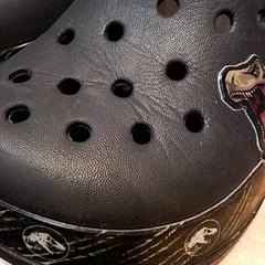 Crocs, rapporterat av Beekse Bergen Resorts en Hotel med iLost