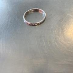 Bague, a été signalé par Burgers' Zoo utilisant iLost