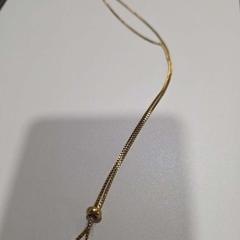 Ketting met bedel Goud kleurig, zoals gemeld door Gemeente Geertruidenberg met iLost