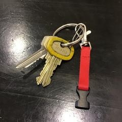 Chiave, come riportato da Qbuzz U-OV utilizzando iLost