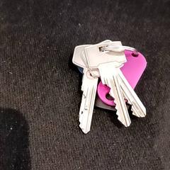 Kulcsok, amint azt RRReis IJssel-Vecht az iLost segítségével jelentette.
