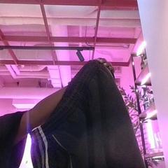 Pantalons curts Adidas, segons ha informat Conscious Hotel Vondelpark mitjançant iLost
