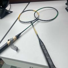 Raqueta de badminton, ha sido reportado por Gebo Tours con iLost