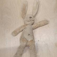 Konijntje, segons ha informat IKEA Groningen mitjançant iLost