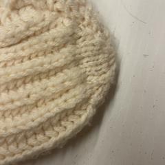 Beanie, jak nahlášeno GVB pomocí iLost