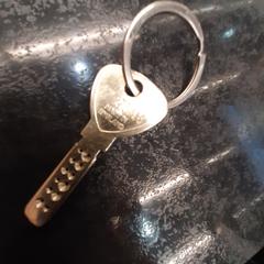 Sleutel, amint azt Rotterdam The Hague Airport az iLost segítségével jelentette.