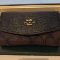 Carteira M. Channa, segundo informou Arriva Limburg Zuid usando iLost