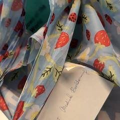 Zakje met inhoud tasje inhoud, jak nahlášeno Ziekenhuis Oost-Limburg pomocí iLost