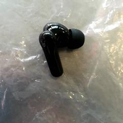 Auricular Rechts zwart, como reportado por Burgers' Zoo utilizando o iLost