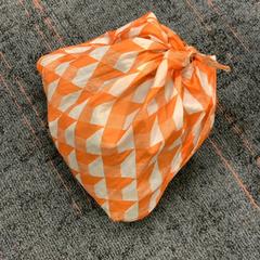 Bag, as reported by Connexxion Amstelland-Meerlanden Schiphol Noord using iLost