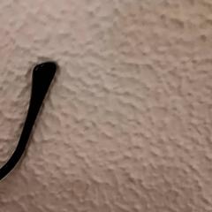 Zonnebril, zoals gemeld door De Efteling met iLost