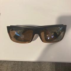 Sonnenbrille bruin zwart, gemeldet von Gemeente Meierijstad über iLost