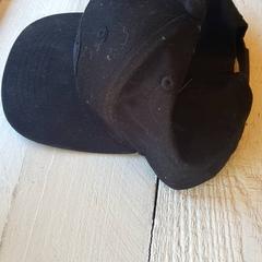 Czapka Zwart, zgłoszono przez DierenPark Amersfoort przy użyciu iLost