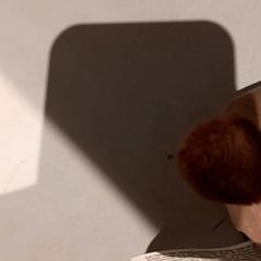 Knuffel, iLost를 사용하여 De Efteling에 보고됨