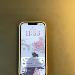 Iphone, as reported by MEININGER Hotel Bremen Hauptbahnhof using iLost