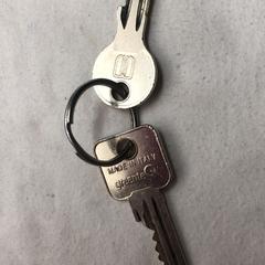 2 sleutels, iLost에 보고됨