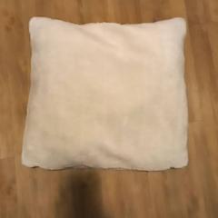 İLost kullanarak Arriva Limburg Noord tarafından bildirildiği gibi Yastık