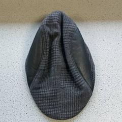 Roupa Pet, segundo informou Regio Limburg - Leuven usando iLost