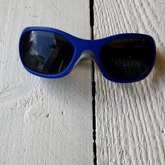Sunglasses Blauw, as reported by DierenPark Amersfoort using iLost