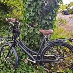 fiets がiLostに報告されました