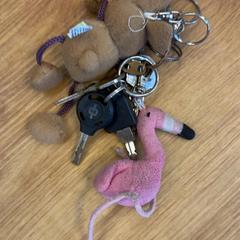 Keychain, as reported by HTM using iLost
