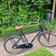 Fiets, iLost'a bildirildiği gibi