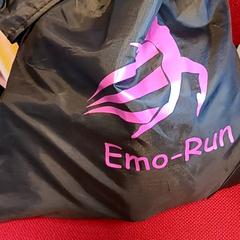 Tasje, segundo informou Syntus Provincie Utrecht usando iLost