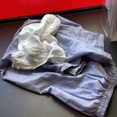 Pants Blue Stripper pants with underwear, come riportato da MEININGER Hotel Salzburg City Center utilizzando iLost