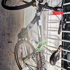 Herrenfahrrad, gemeldet von Gemeente Roermond über iLost