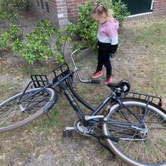 Matzwarte Cortina fiets an iLost gemeldet