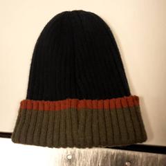 Beanie, amint azt Diergaarde Blijdorp az iLost segítségével jelentette.