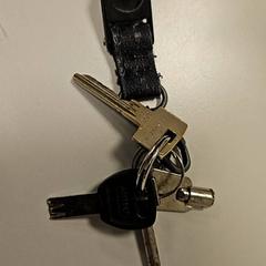 Klíče, jak nahlášeno Vrije Universiteit Amsterdam pomocí iLost