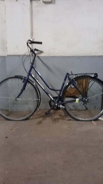 Damesfiets Ludo Paars