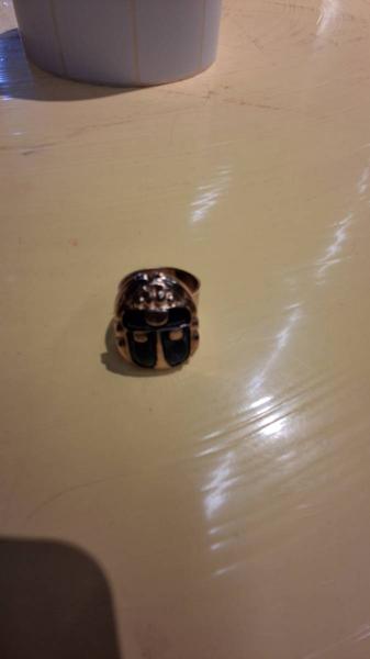 Ring Acier