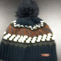 Muts/pet Donker blauw/ grijs/ wit en bruin, segundo informou Arriva Vechtdallijnen usando iLost